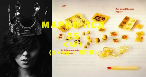 ECSTASY Алзамай