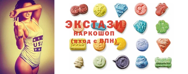 ECSTASY Алзамай