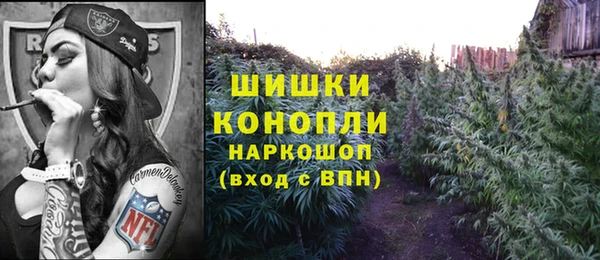 ECSTASY Алзамай