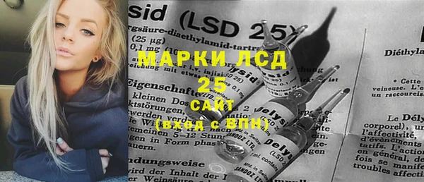 ECSTASY Алзамай