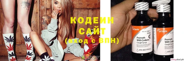 ECSTASY Алзамай