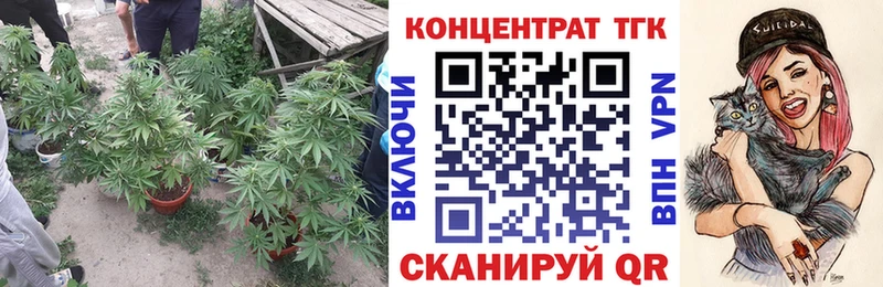 цена наркотик Тара ТГК концентрат